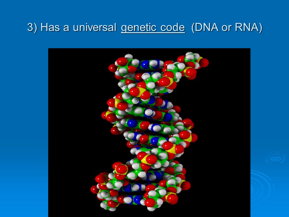 DNA database